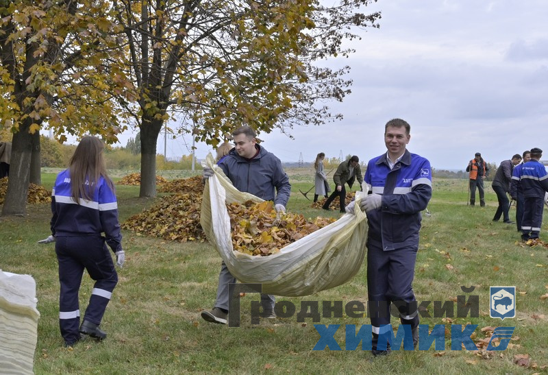 4566768798090 (9).jpg